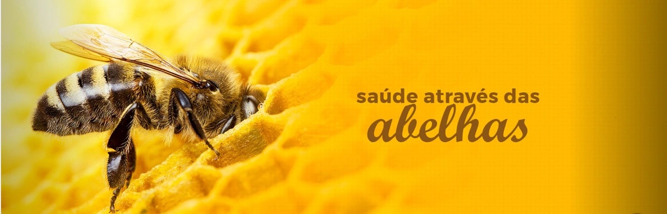 abelha